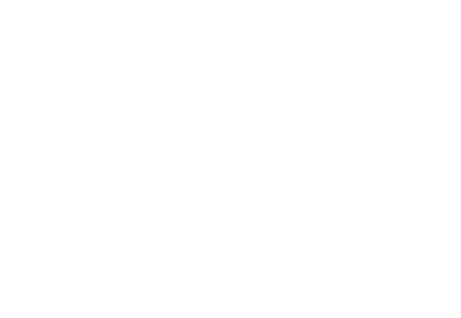 HertzPower_Logo_White-01